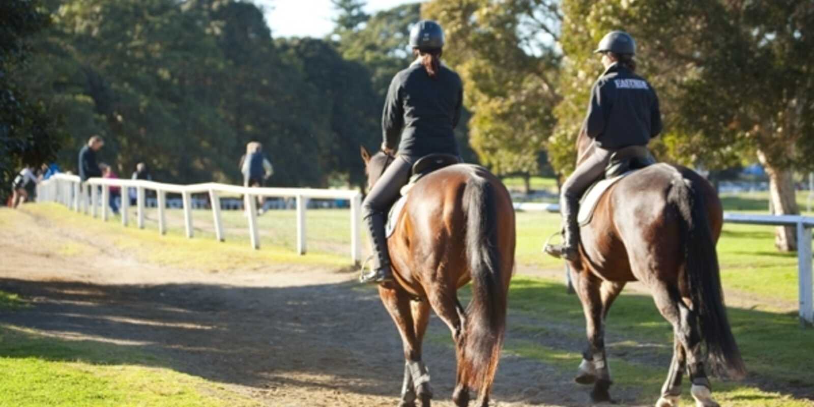 1/249 Edgecliff Road Woollahra