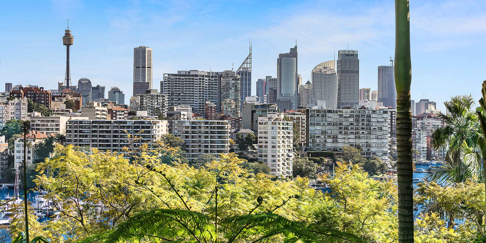 12-14 Yarranabbe Road Darling Point