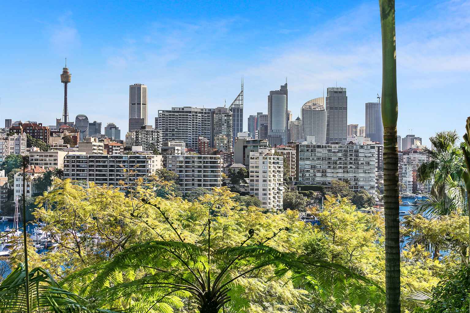 12-14 Yarranabbe Road Darling Point