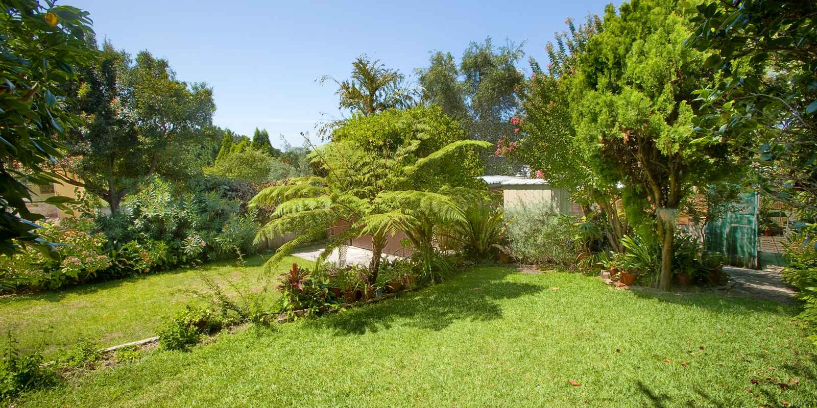 53 Beresford Road  Bellevue Hill