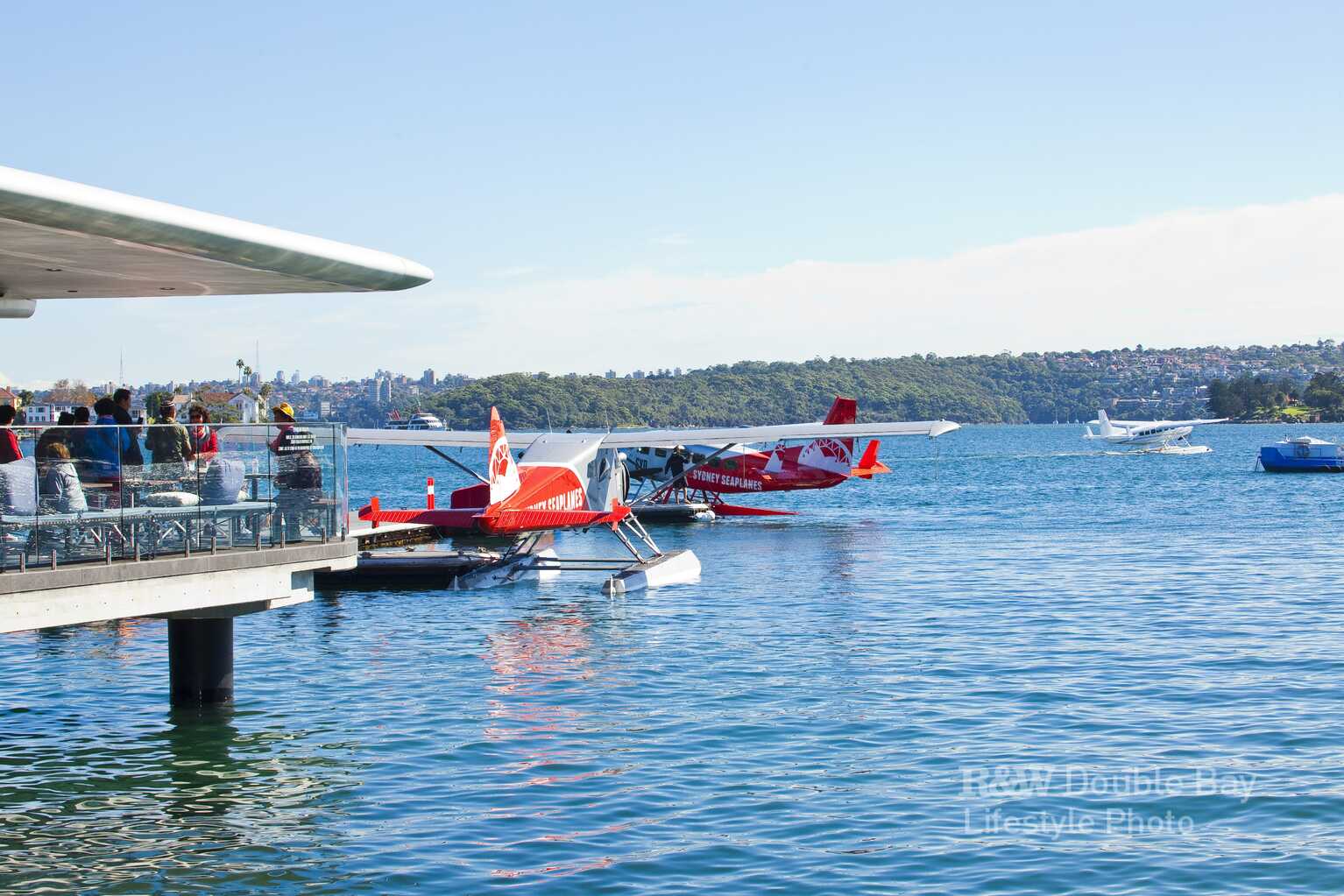53 Beresford Road  Bellevue Hill