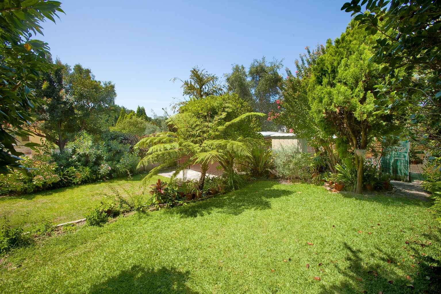 1/53 Beresford Road  Bellevue Hill