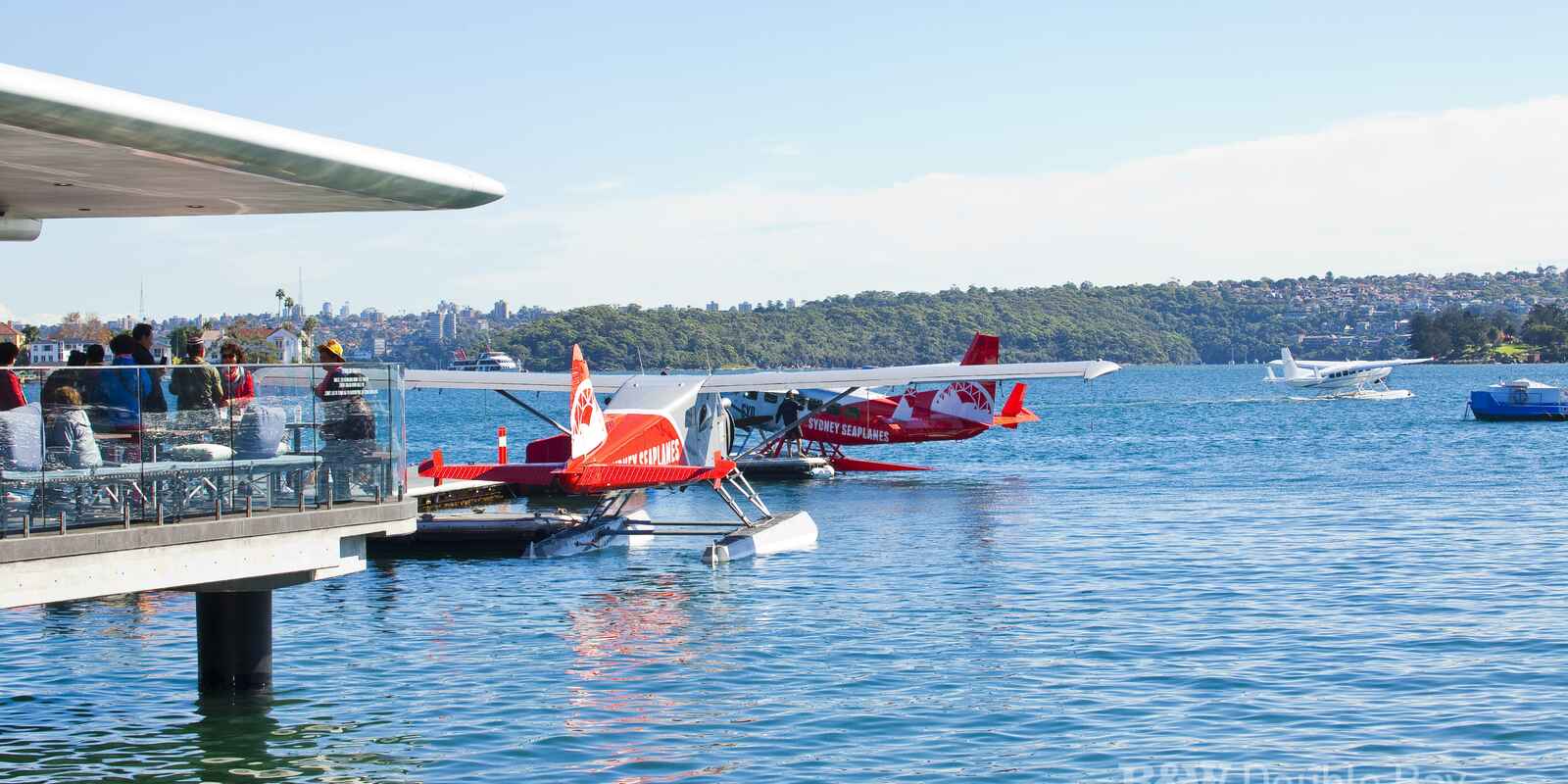 1/53 Beresford Road  Bellevue Hill