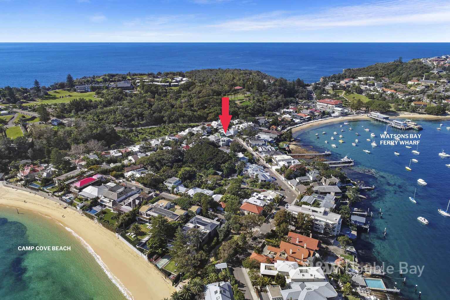 1 Pacific Street Watsons Bay