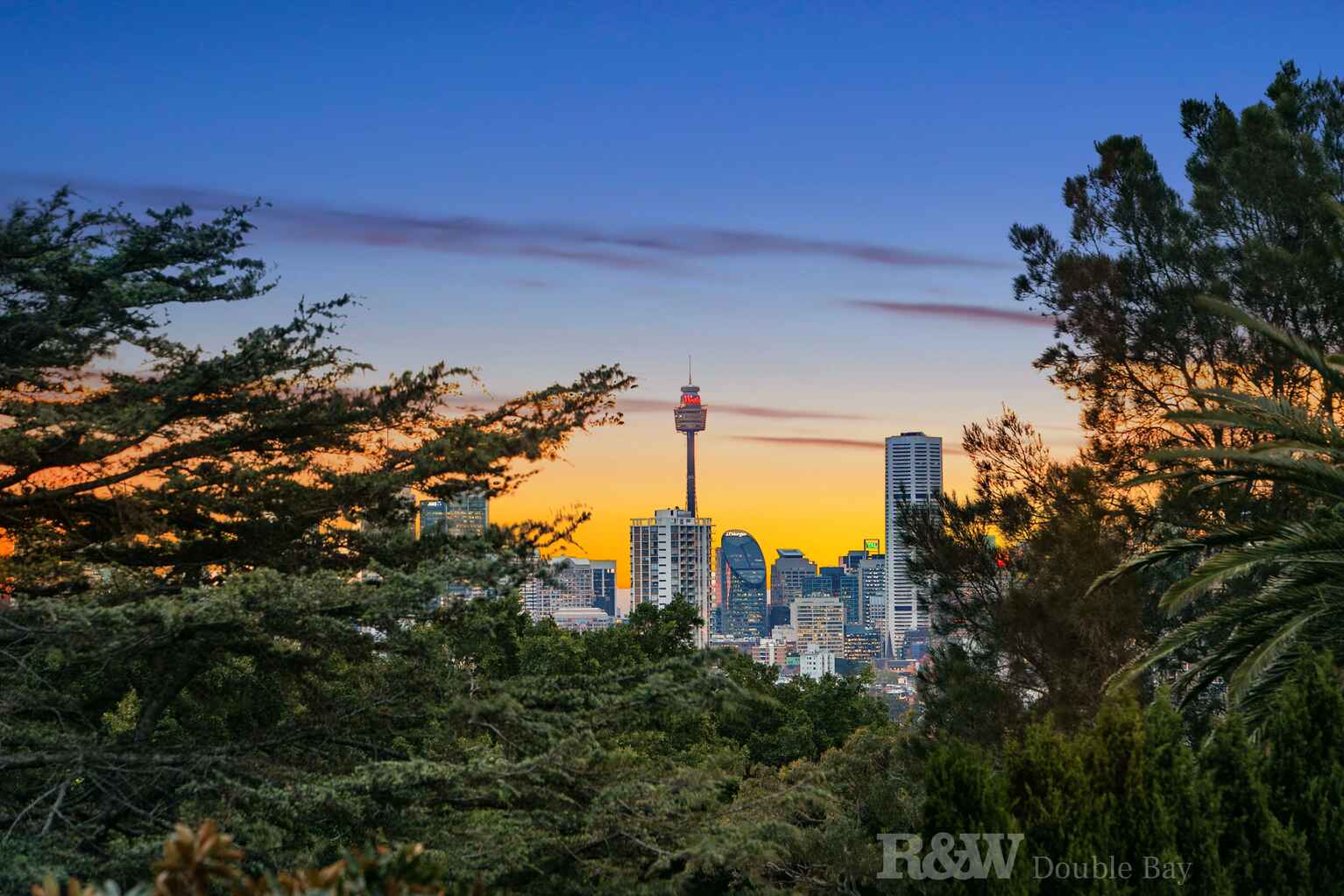 6A Fairweather Street Bellevue Hill