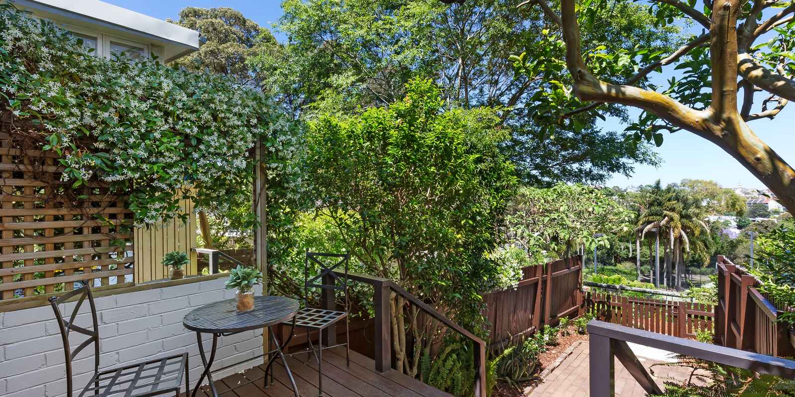 44 Thorne Street Edgecliff 44 Thorne Street Edgecliff