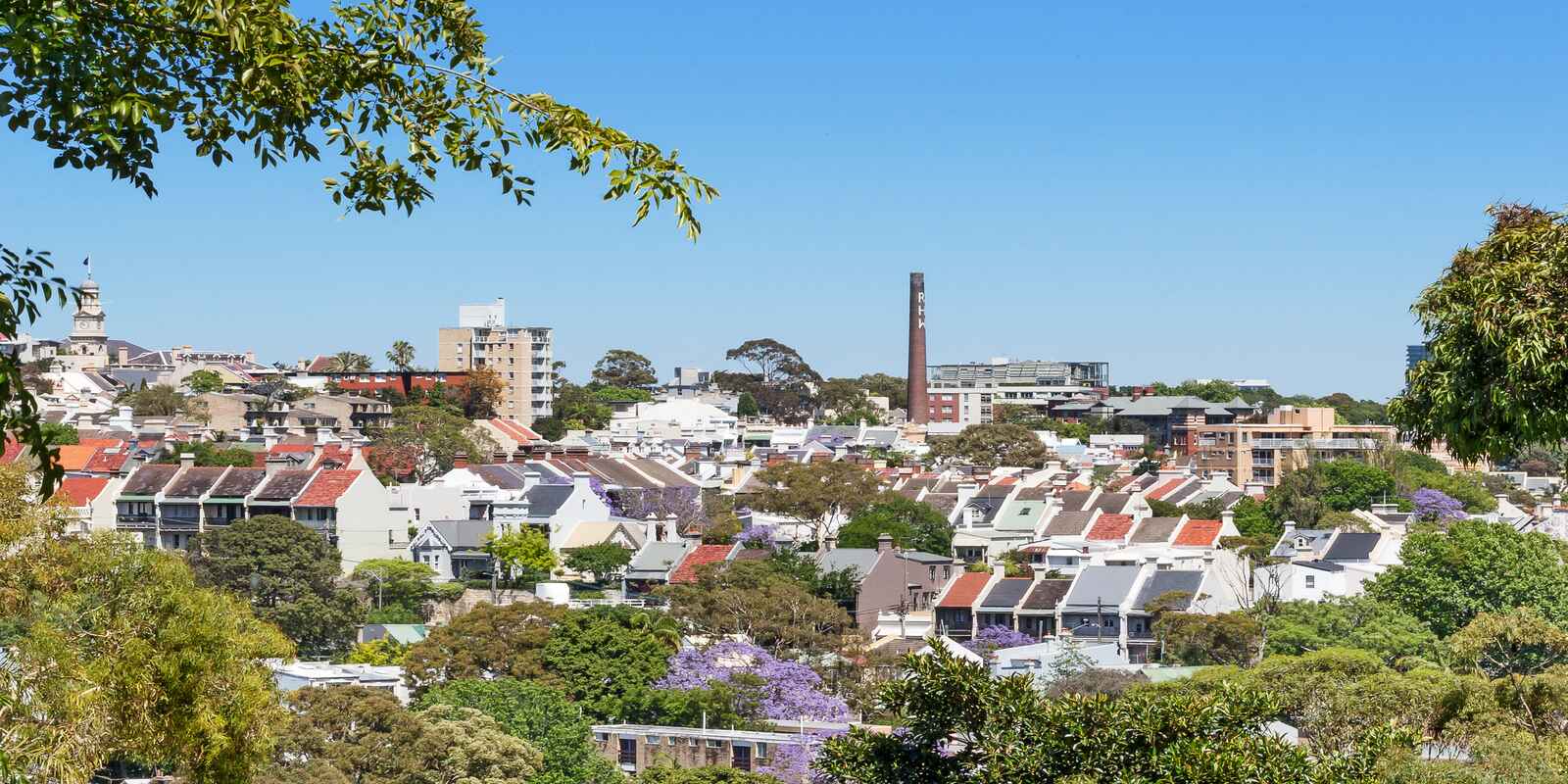 44 Thorne Street Edgecliff 44 Thorne Street Edgecliff