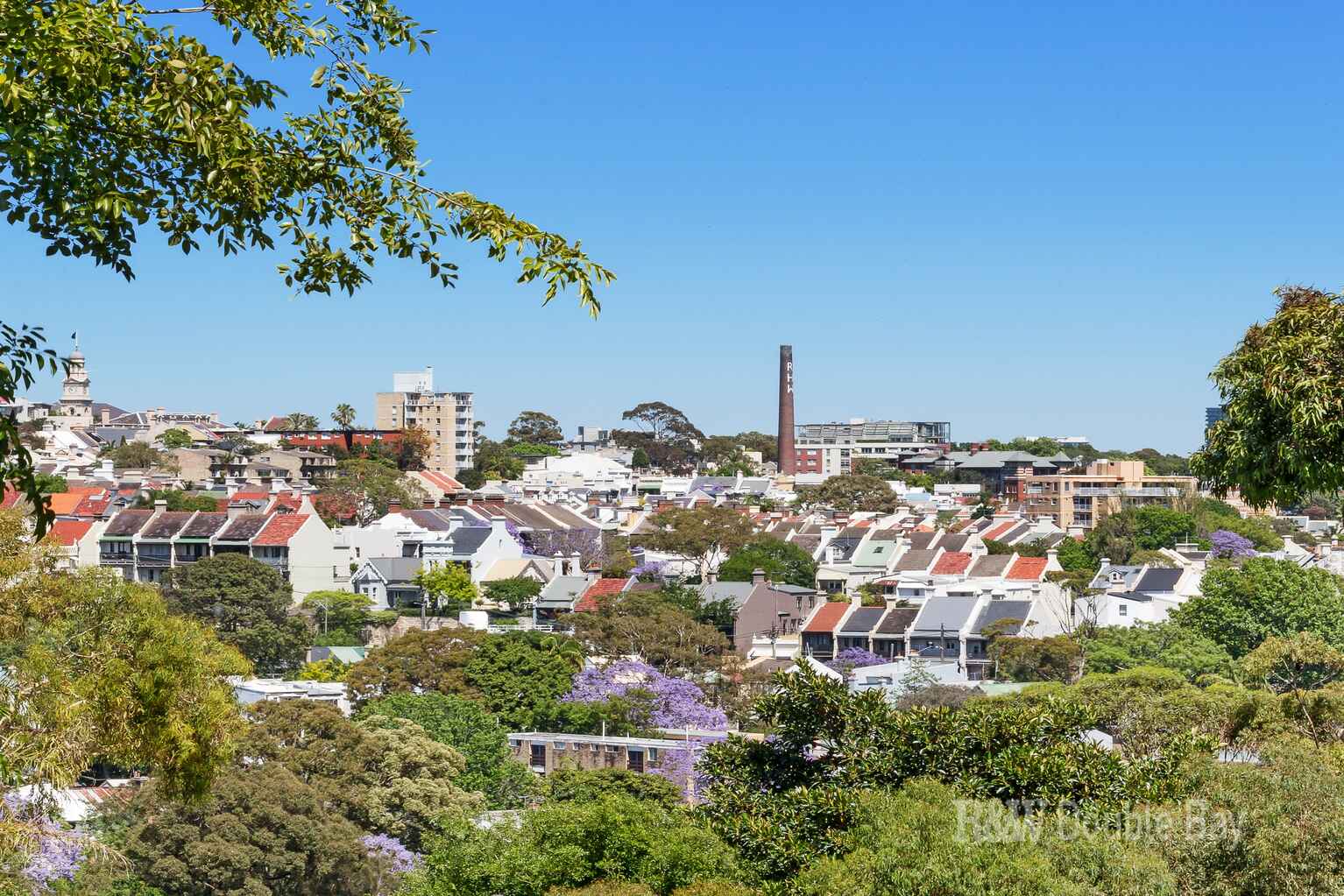 44 Thorne Street Edgecliff 44 Thorne Street Edgecliff