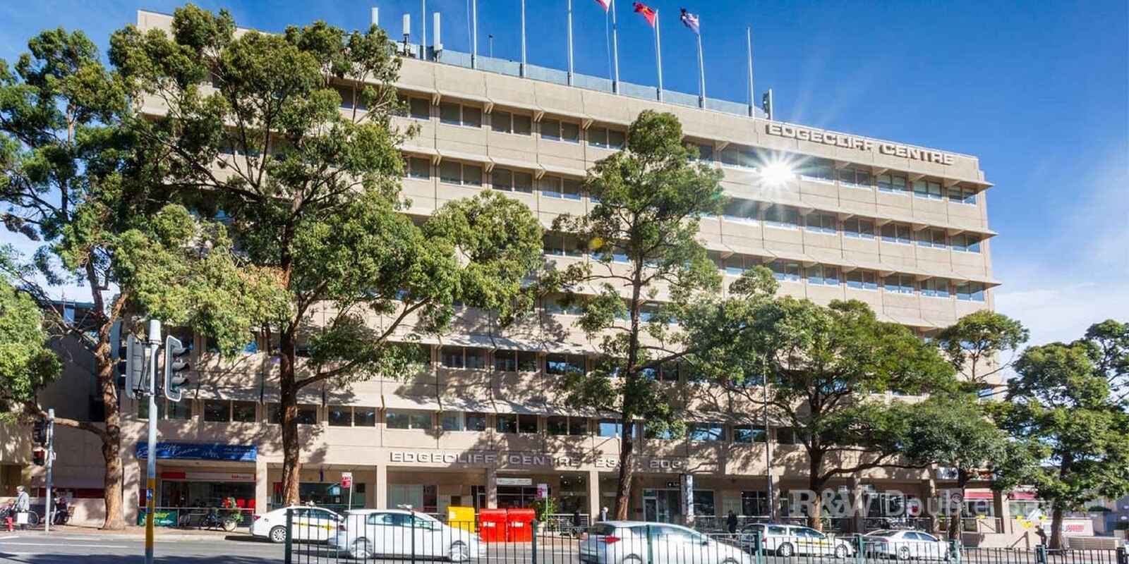 44 Thorne Street Edgecliff 44 Thorne Street Edgecliff