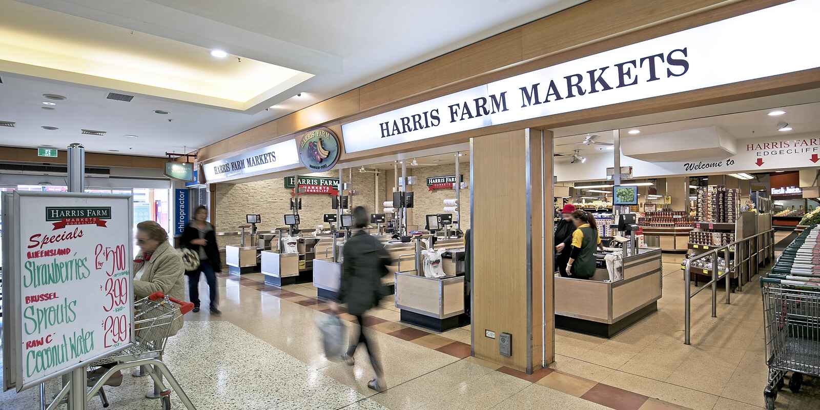 44 Thorne Street Edgecliff 44 Thorne Street Edgecliff