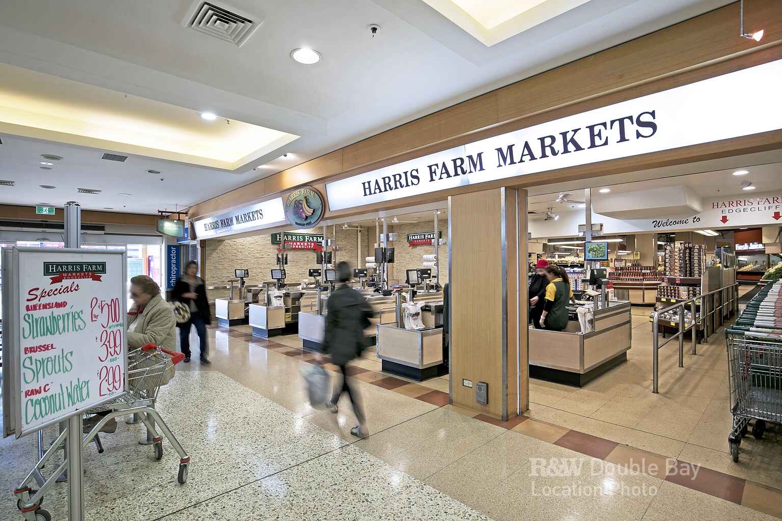 44 Thorne Street Edgecliff 44 Thorne Street Edgecliff