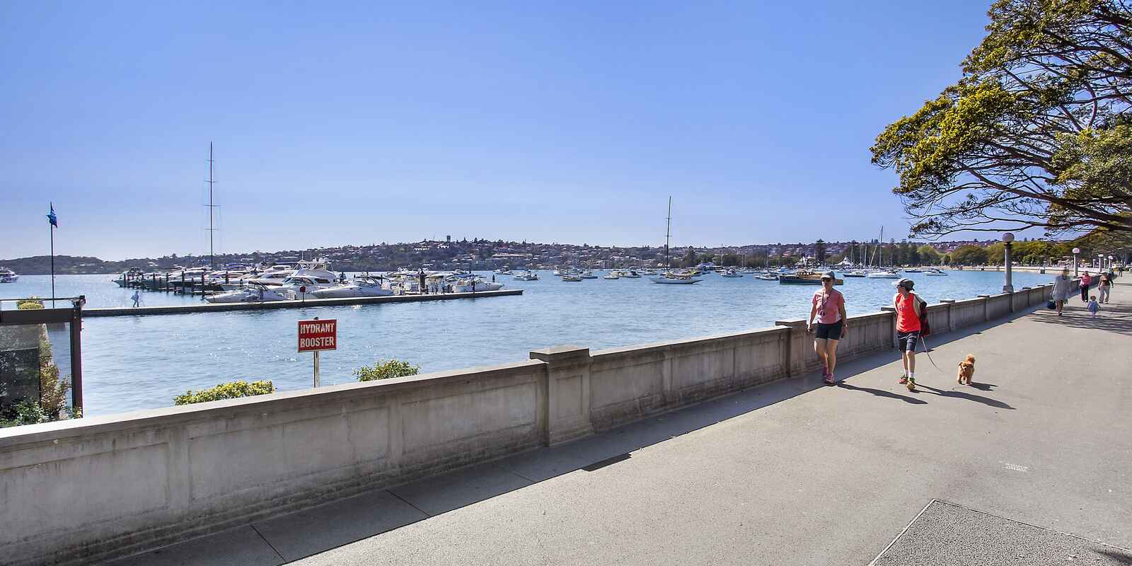 5/658 New South Head Road Rose Bay