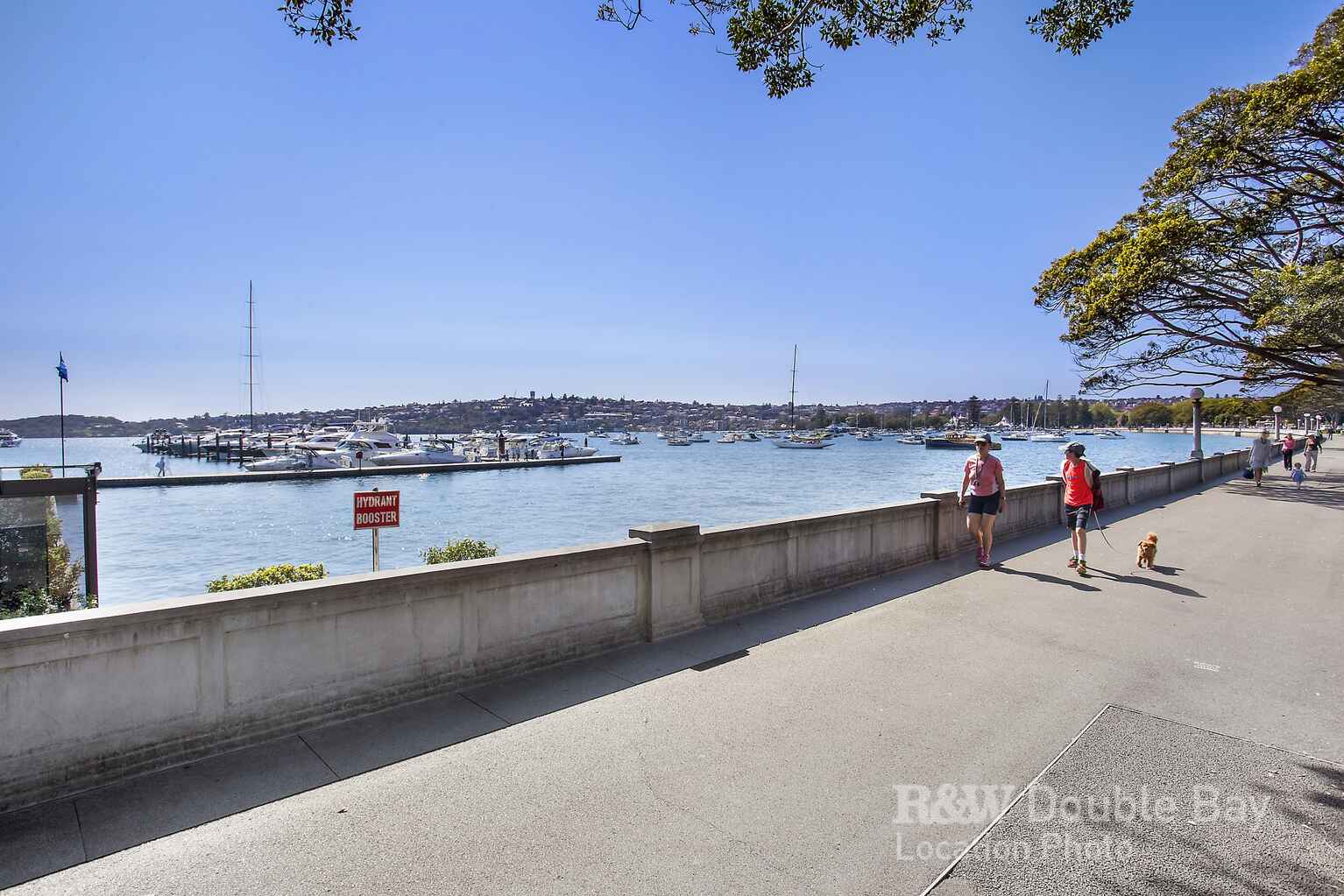 5/658 New South Head Road Rose Bay