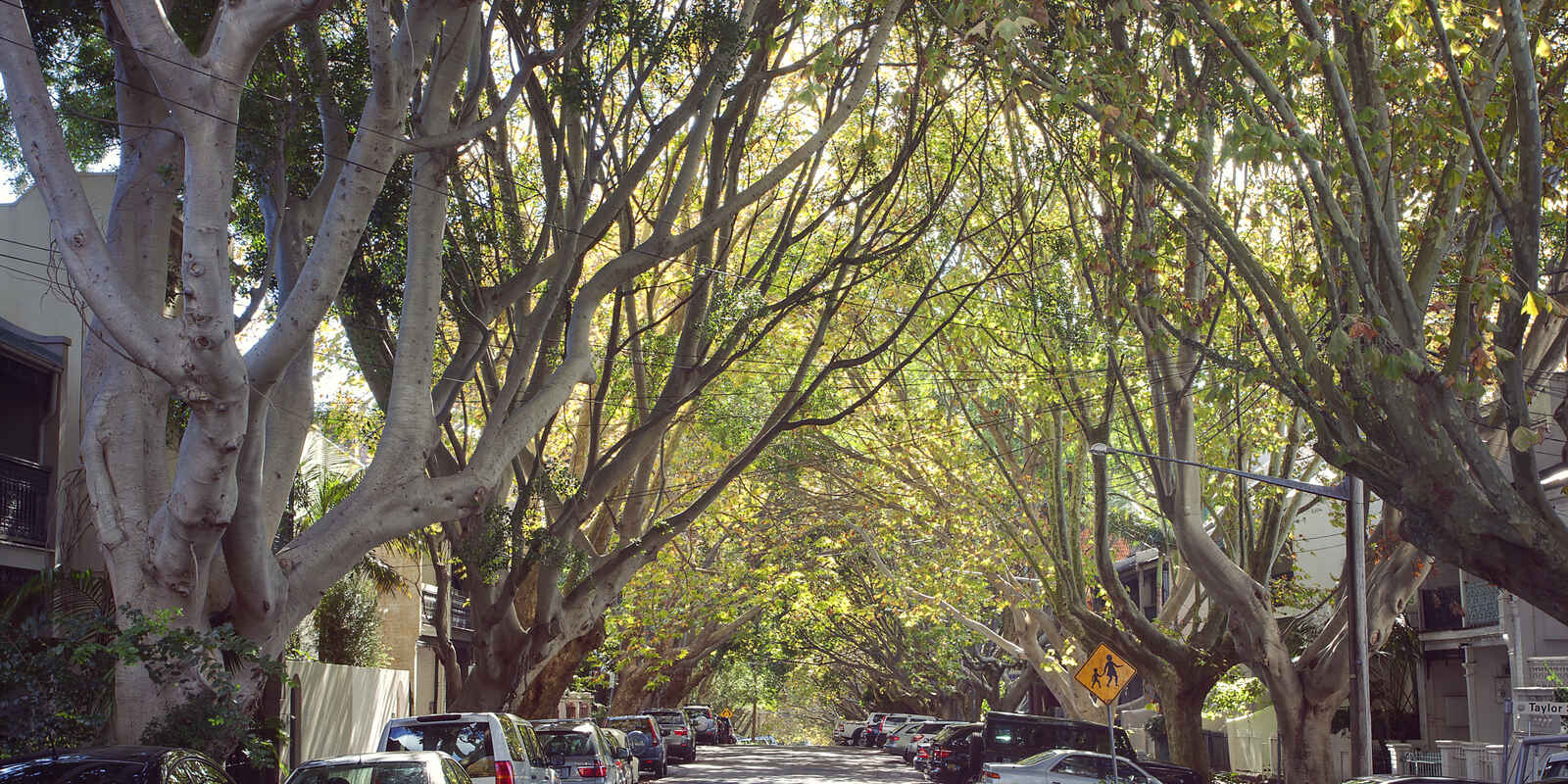 169  Paddington Street Paddington 169  Paddington Street Paddington