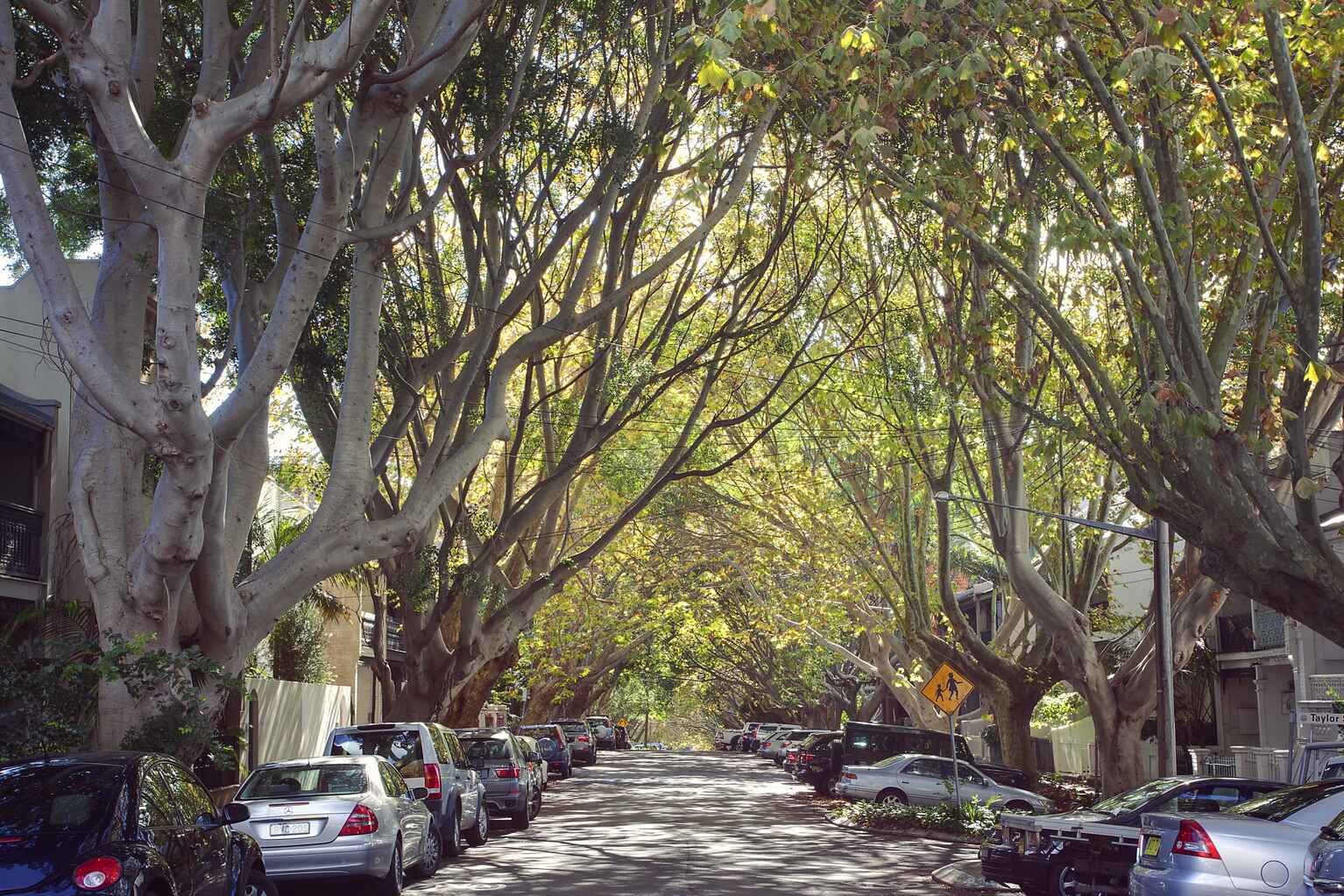 169  Paddington Street Paddington