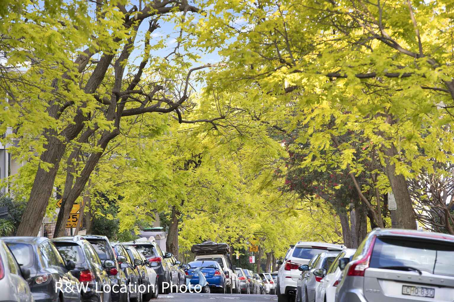 207/138 Barcom Avenue Darlinghurst