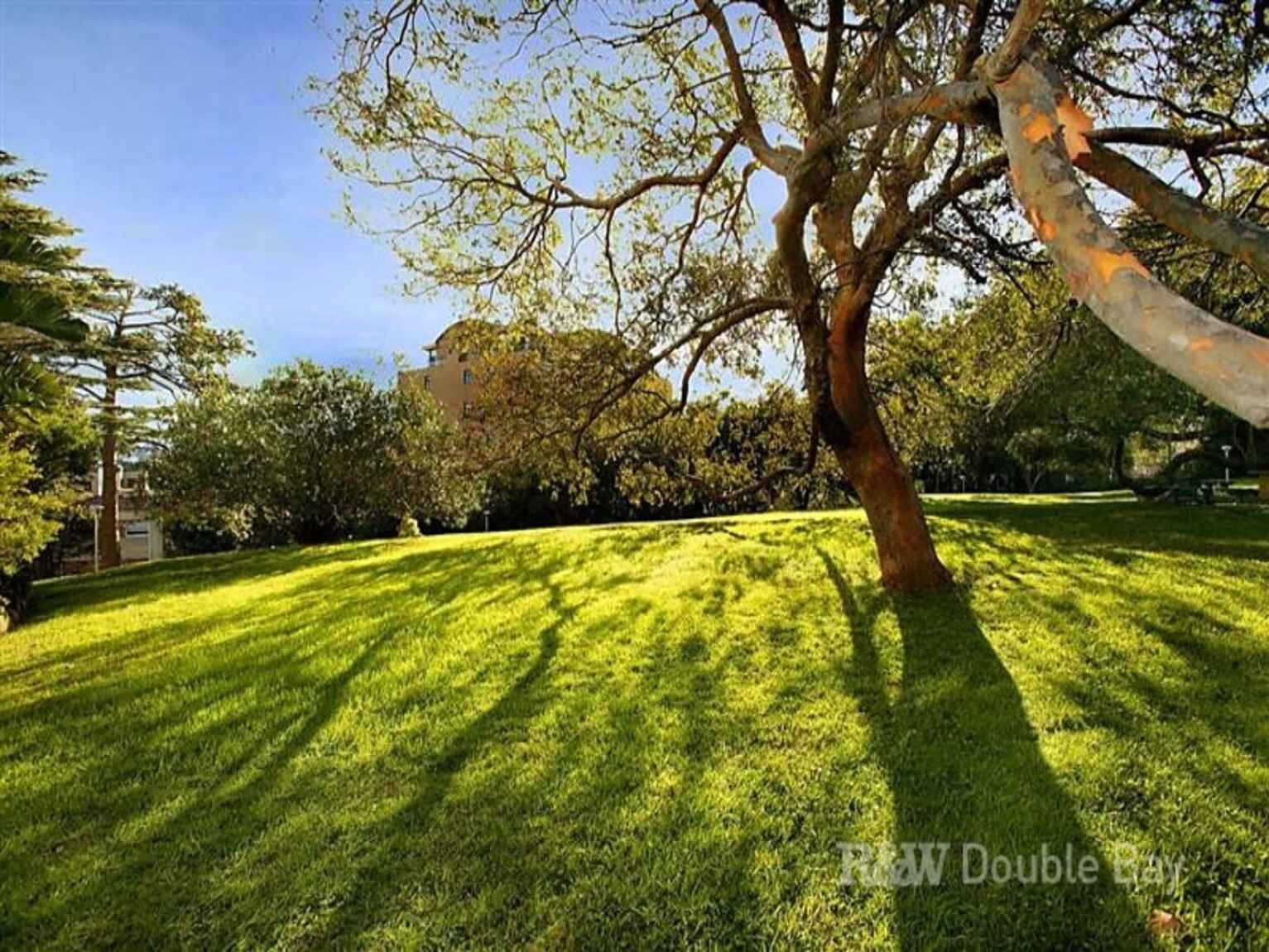 1D/3 Darling Point Road Darling Point 1D/3 Darling Point Road Darling Point