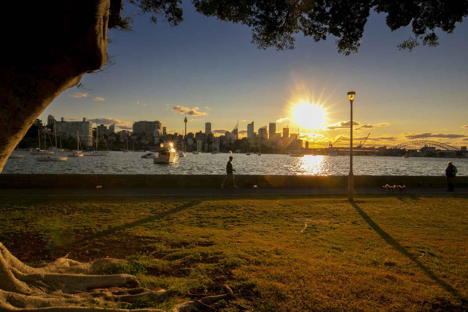 1D/3 Darling Point Road Darling Point 1D/3 Darling Point Road Darling Point