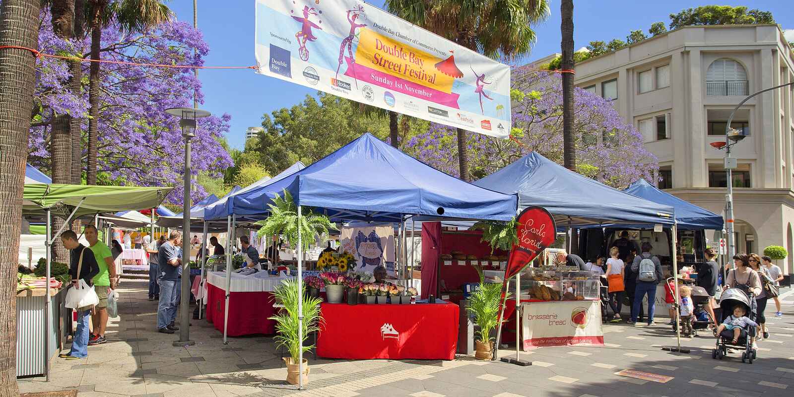 9/36 Manning Road Double Bay