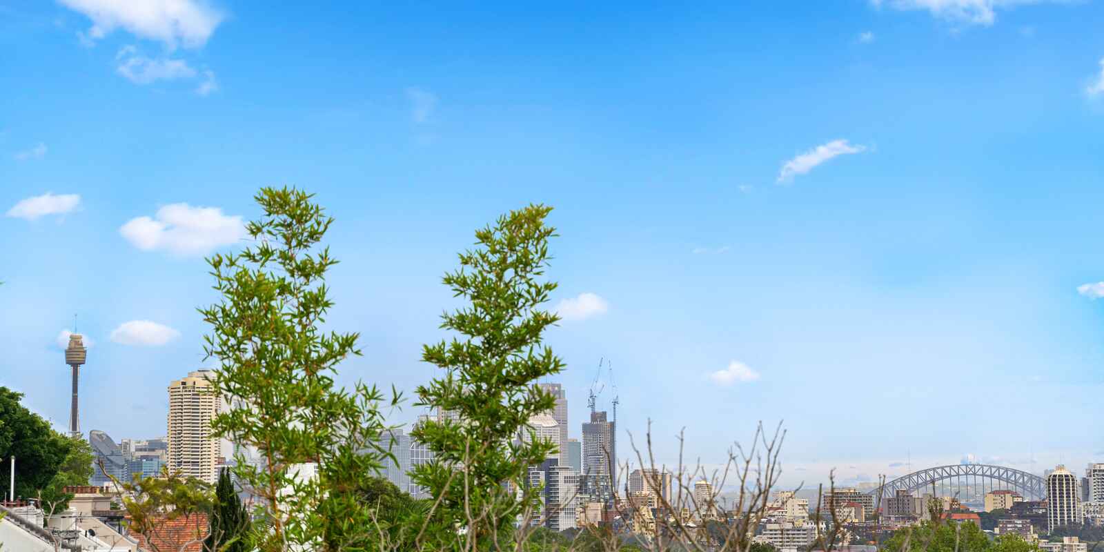 130 Jersey Road Paddington 130 Jersey Road Paddington