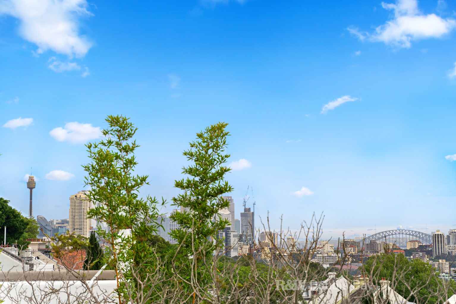 130 Jersey Road Paddington