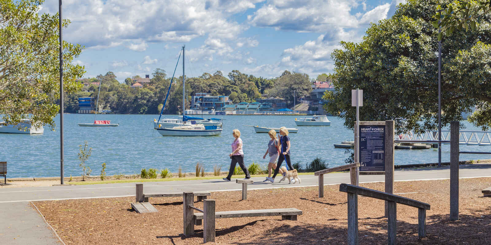 7 Wellington Street Rozelle 7 Wellington Street Rozelle