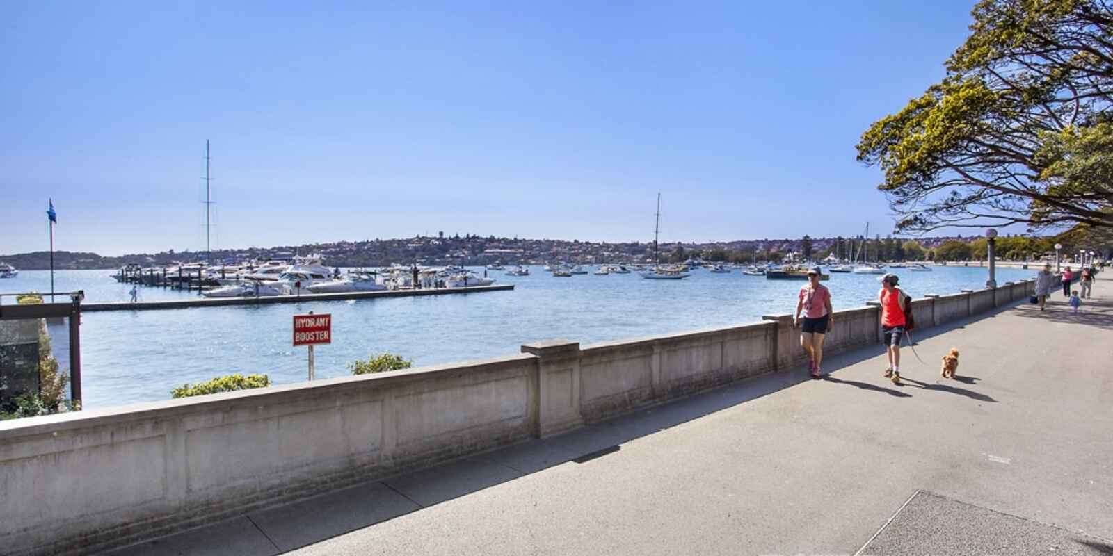 7/5 Manion Avenue Rose Bay