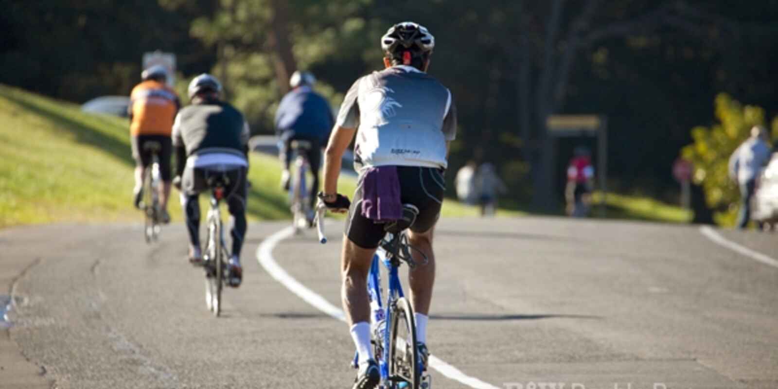 1 Stephen Lane Randwick 1 Stephen Lane Randwick