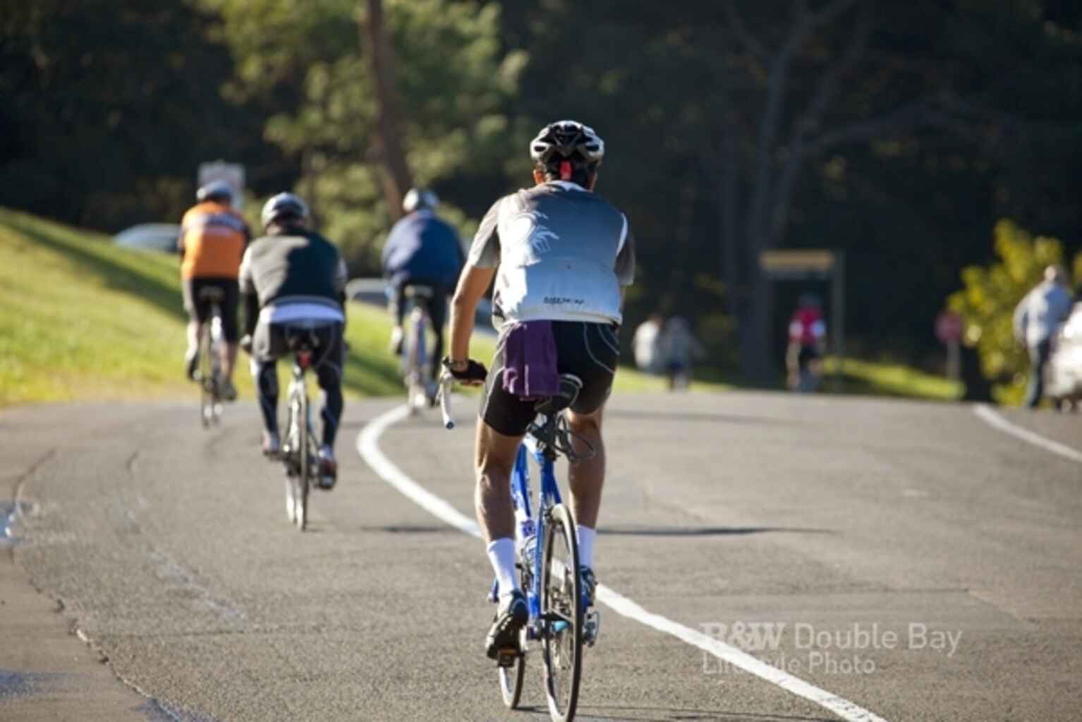 1 Stephen Lane Randwick