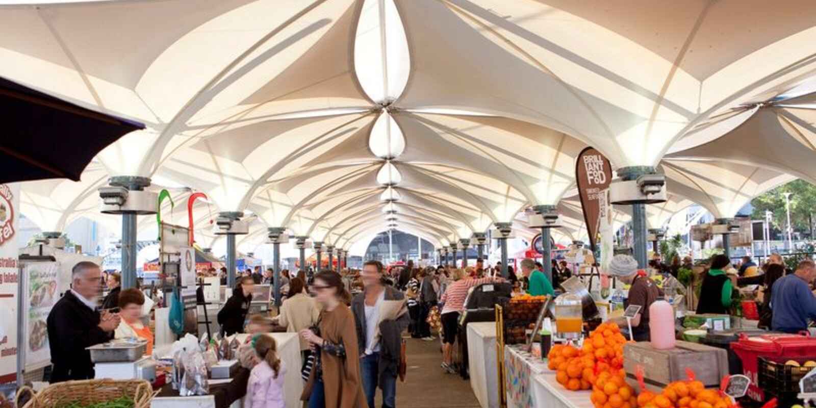 55 Doncaster Avenue Kensington