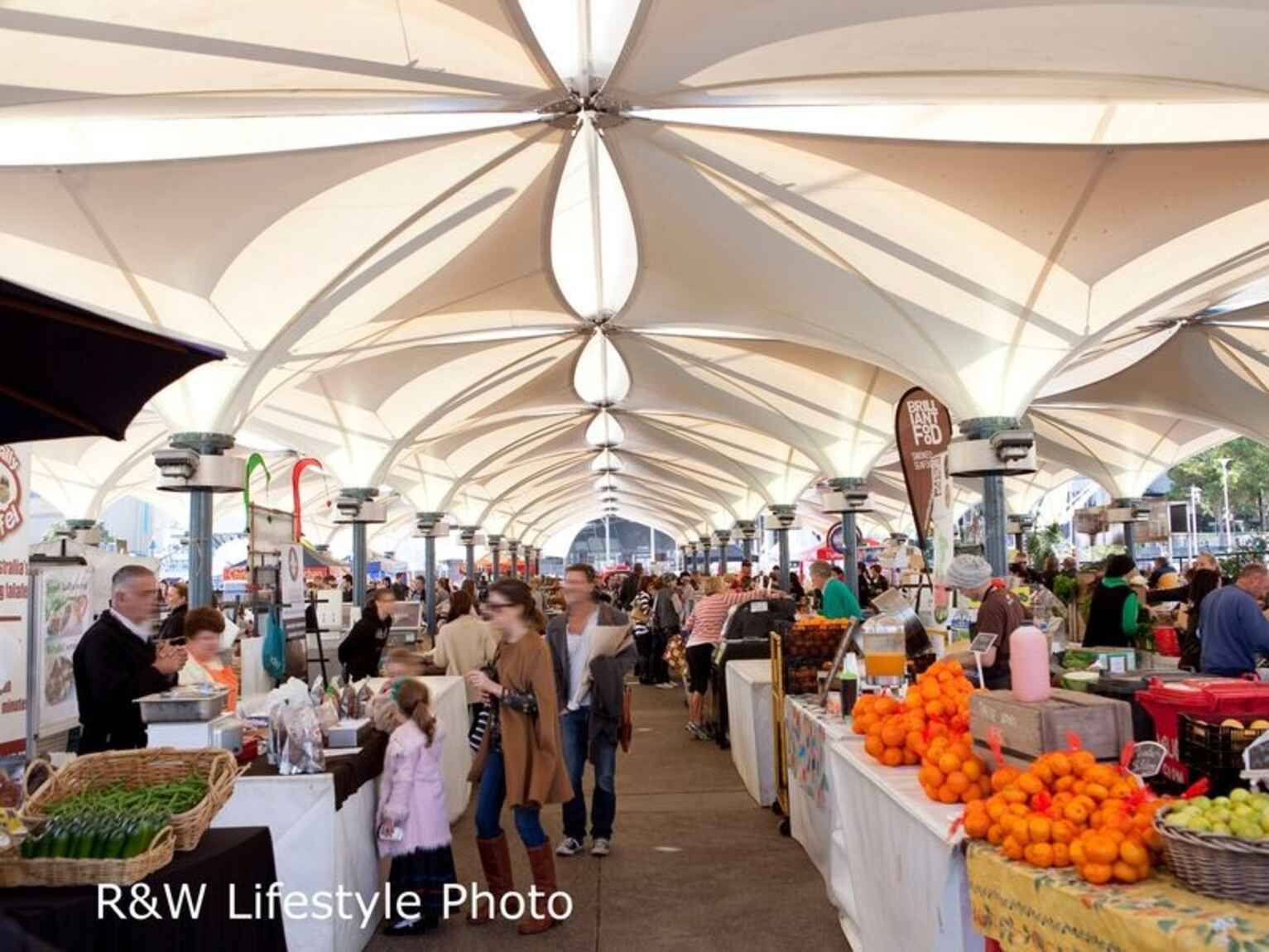 55 Doncaster Avenue Kensington