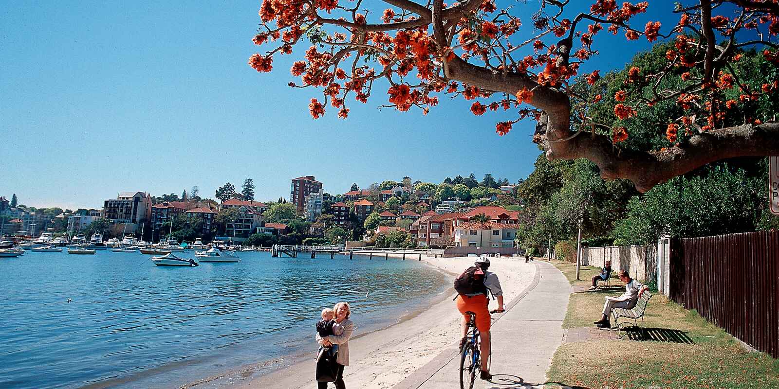 8 South Avenue Double Bay 8 South Avenue Double Bay