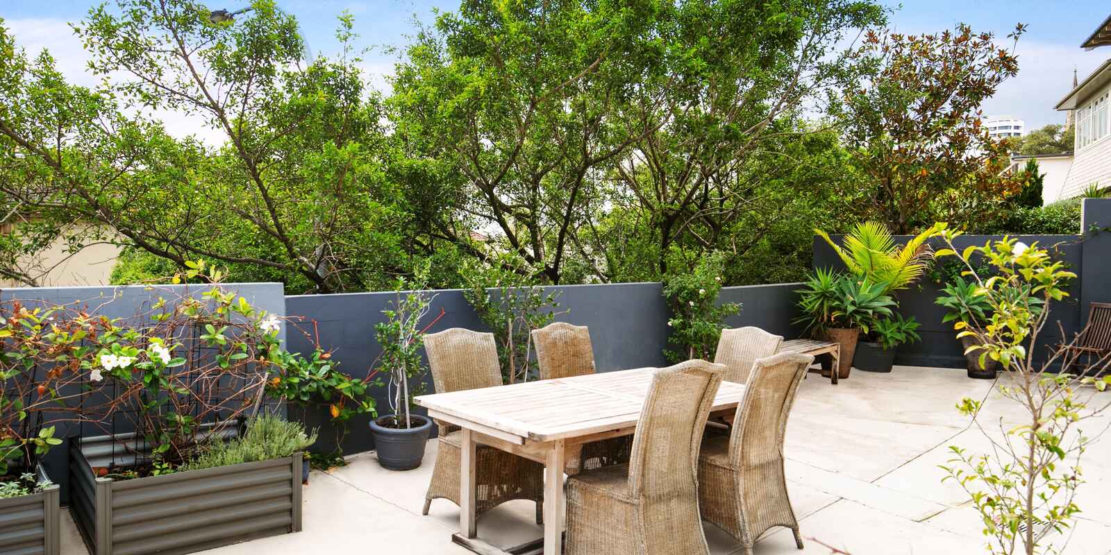 3/16a Darling Point Road Darling Point