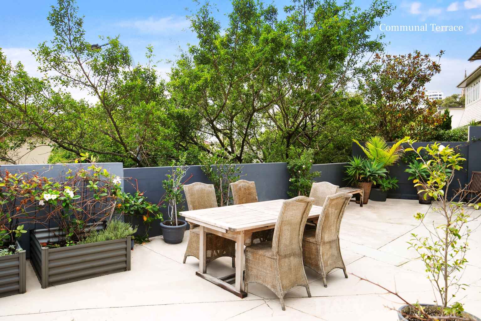 3/16a Darling Point Road Darling Point