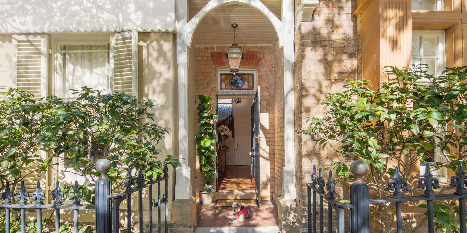 8 South Avenue Double Bay 8 South Avenue Double Bay