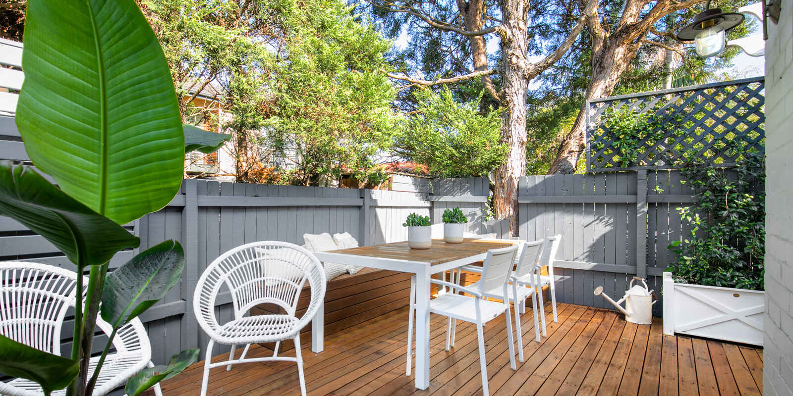 61 Chaleyer Street Rose Bay