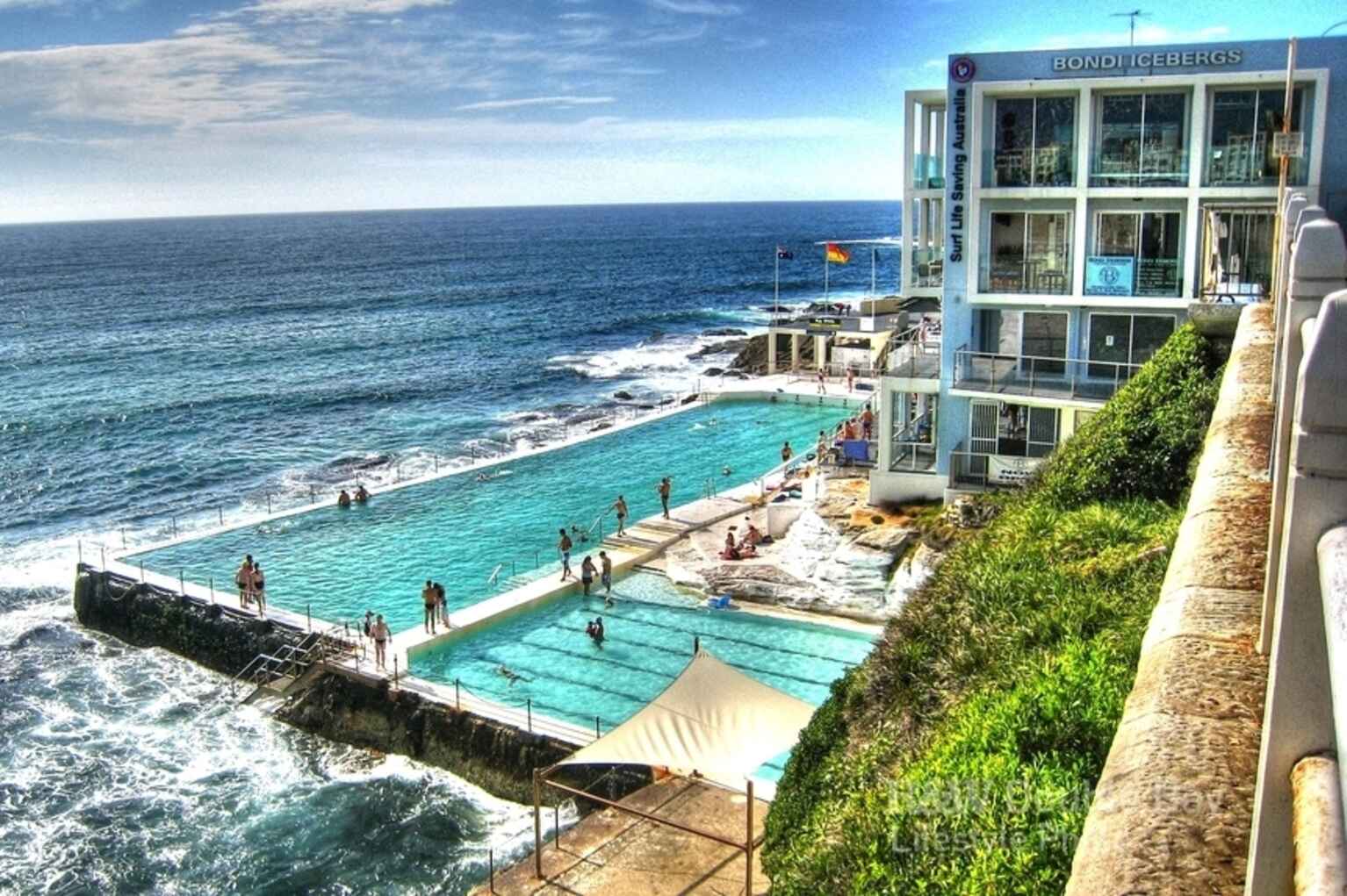 61 Chaleyer Street Rose Bay 61 Chaleyer Street Rose Bay