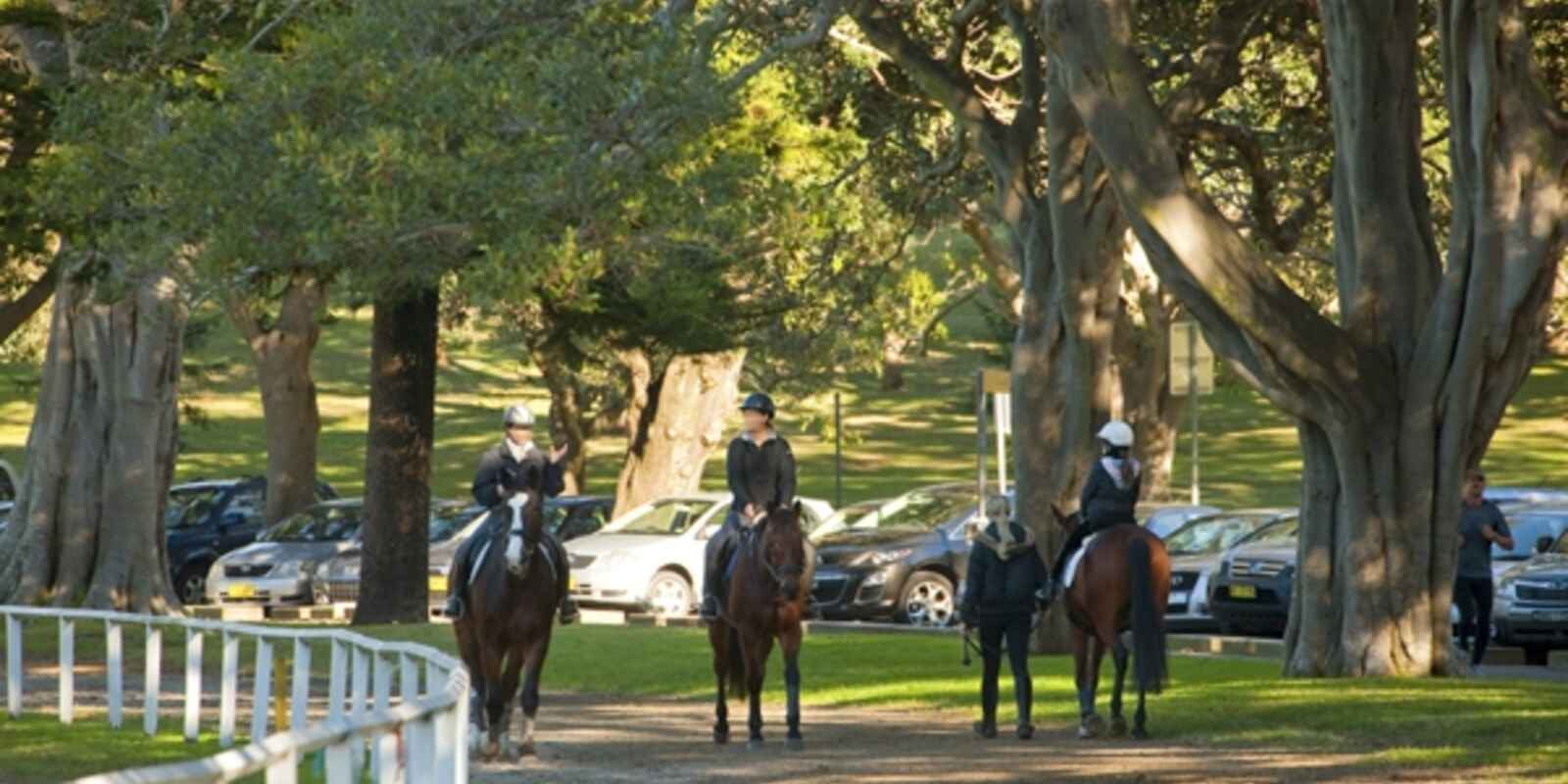 22/366 Edgecliff Road Woollahra 22/366 Edgecliff Road Woollahra
