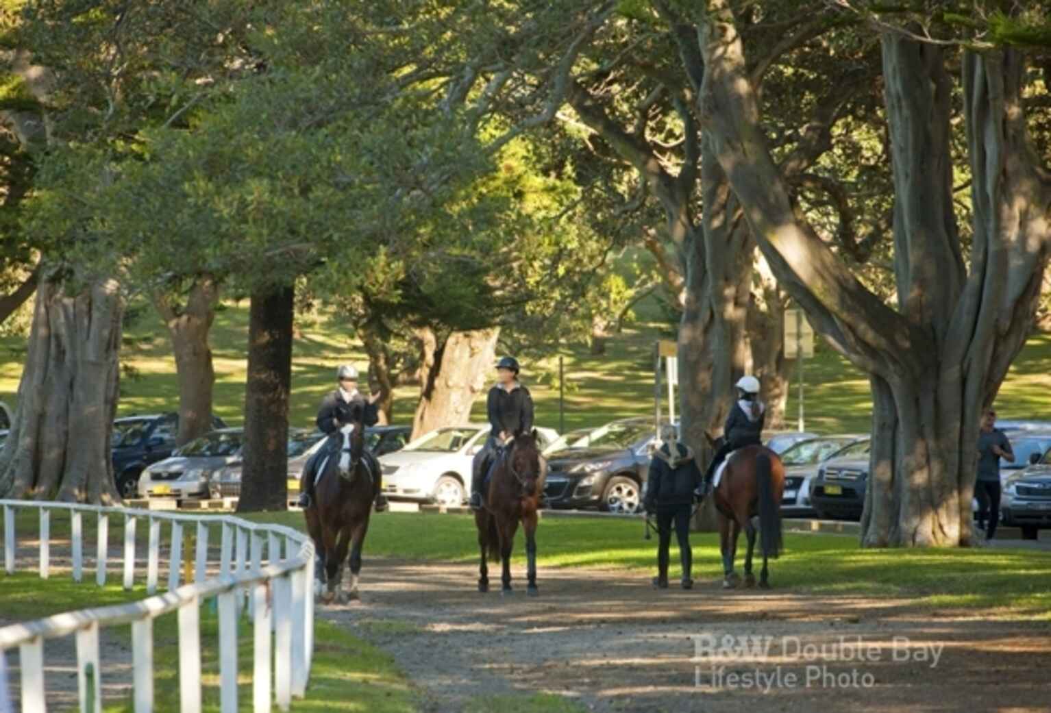 22/366 Edgecliff Road Woollahra 22/366 Edgecliff Road Woollahra