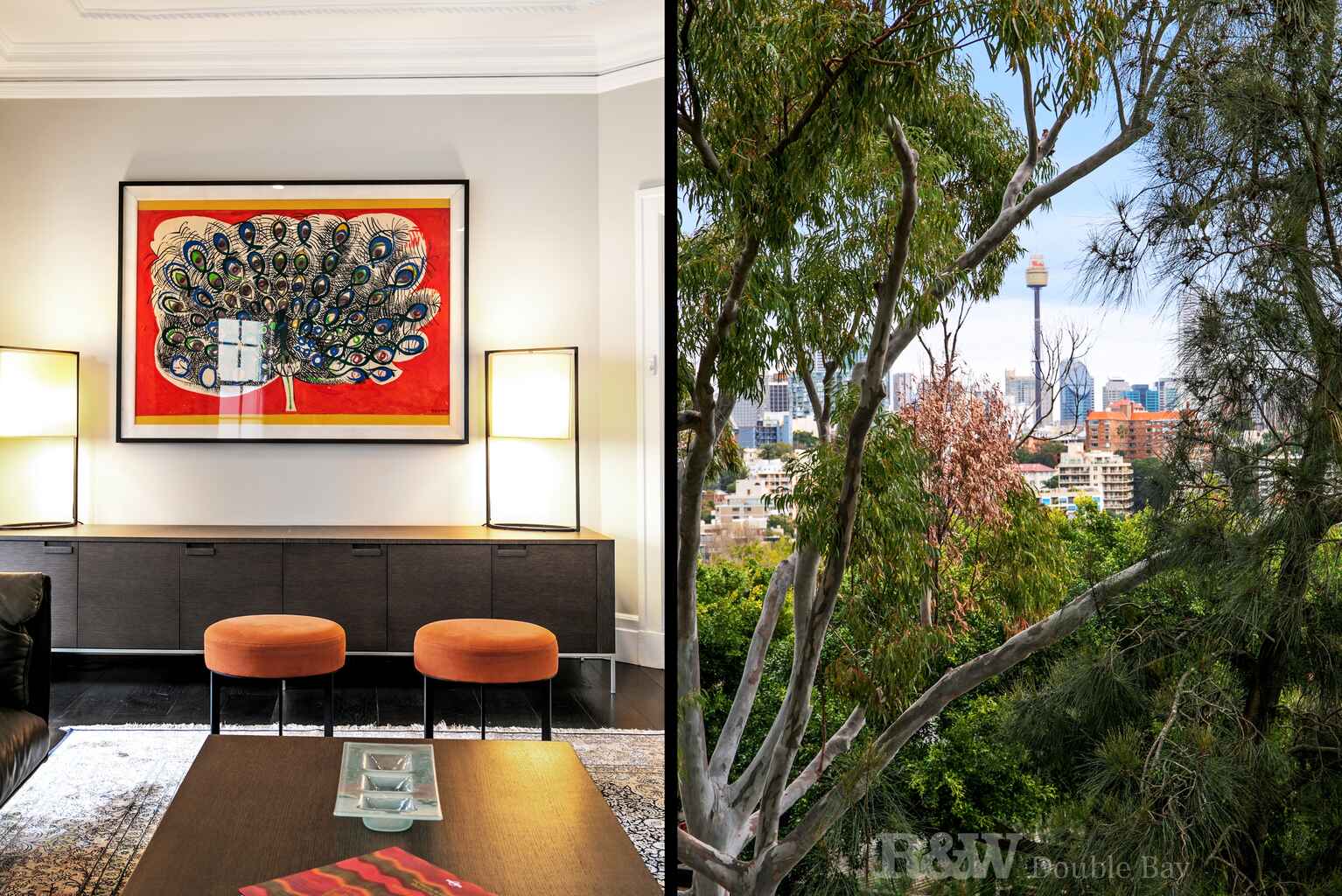 3/14A Darling Point Road Darling Point