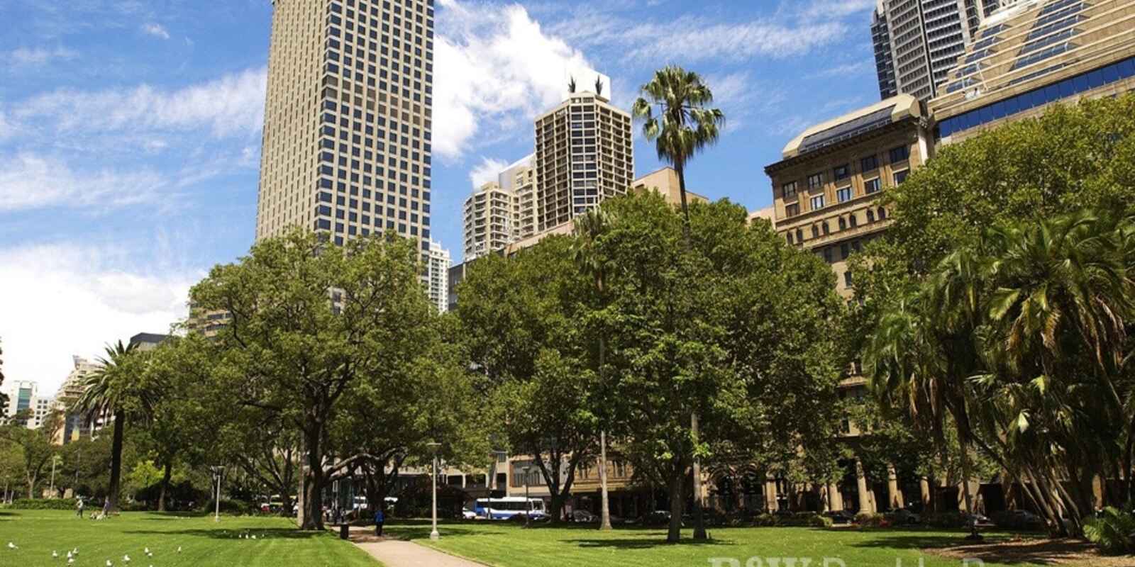 The Connaught 206/187 Liverpool Street Sydney