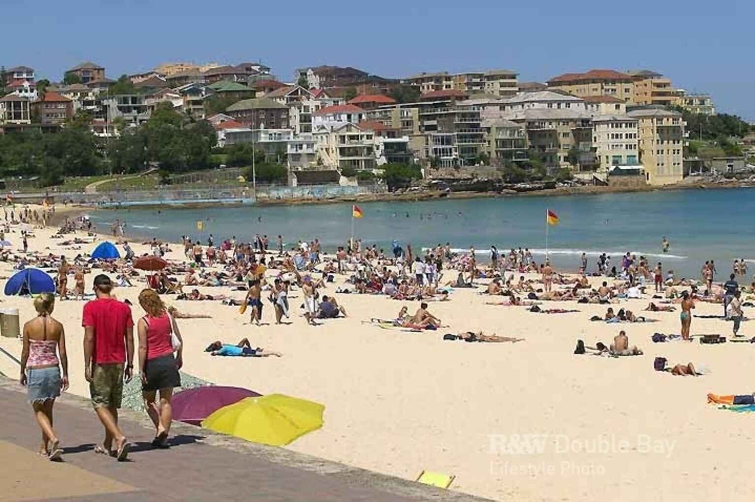 6/591 Old South Head Road Rose Bay