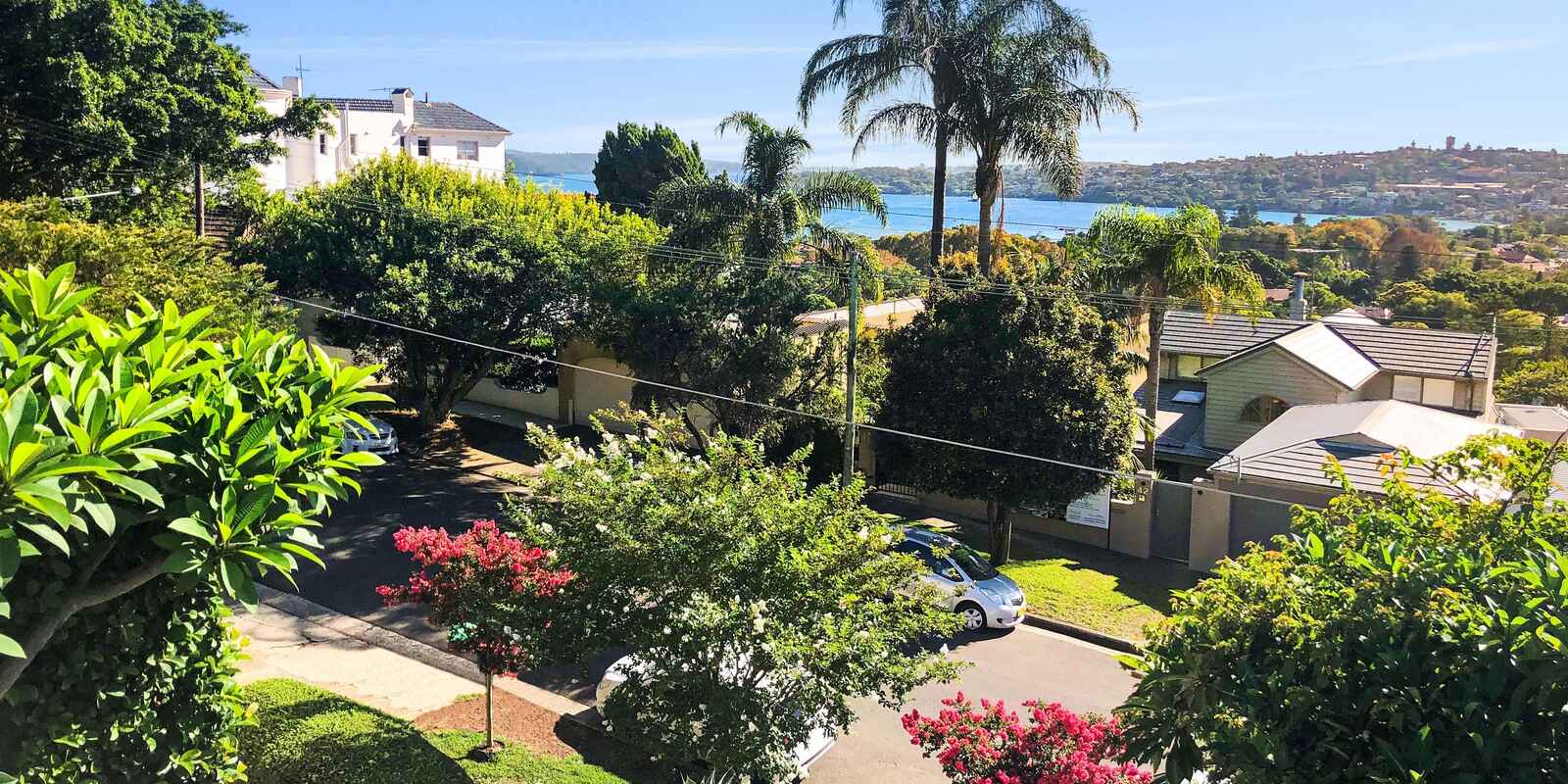 37 Drumalbyn Road Bellevue Hill