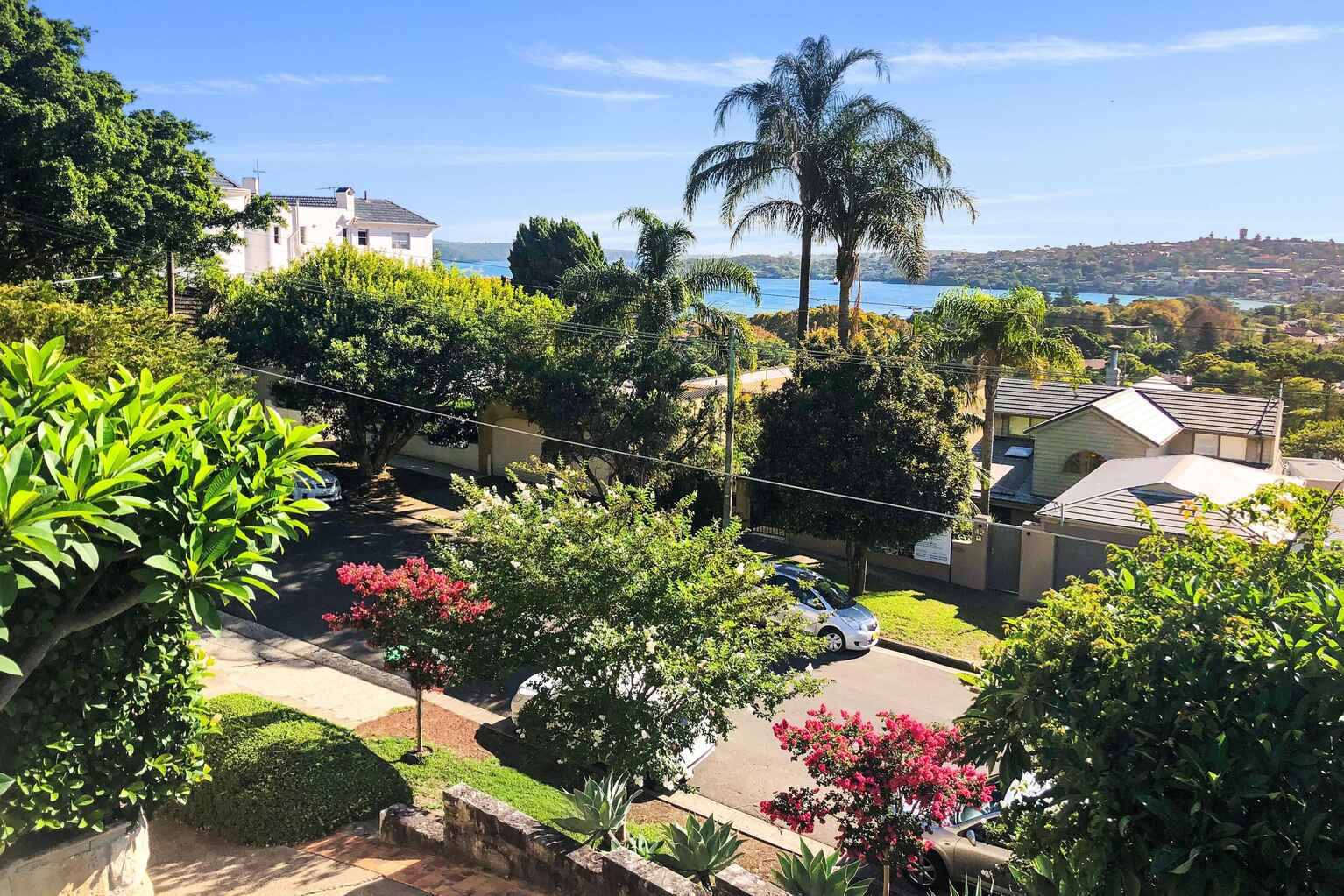 37 Drumalbyn Road Bellevue Hill 37 Drumalbyn Road Bellevue Hill