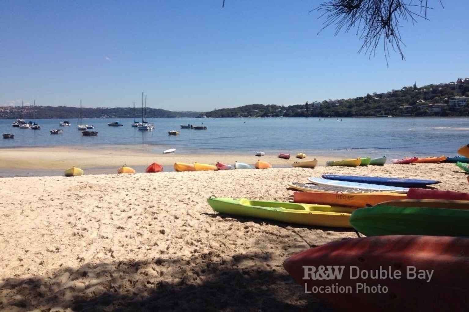 83 Dover Road Rose Bay