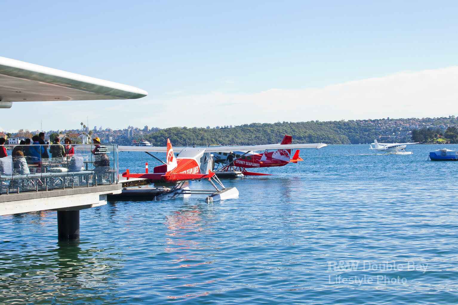 83 Dover Road Rose Bay