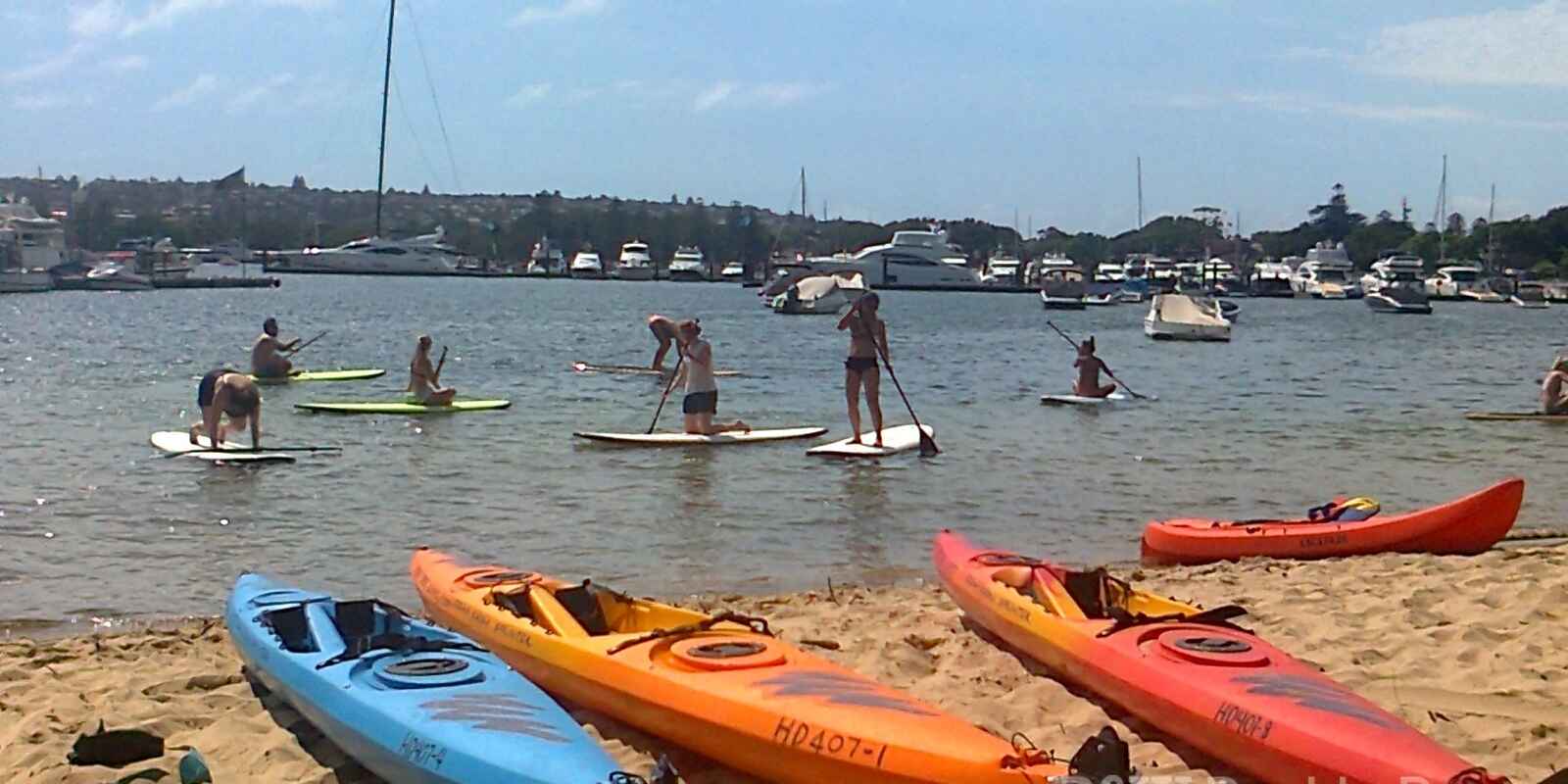 11/25 Wolseley Road Point Piper 11/25 Wolseley Road Point Piper