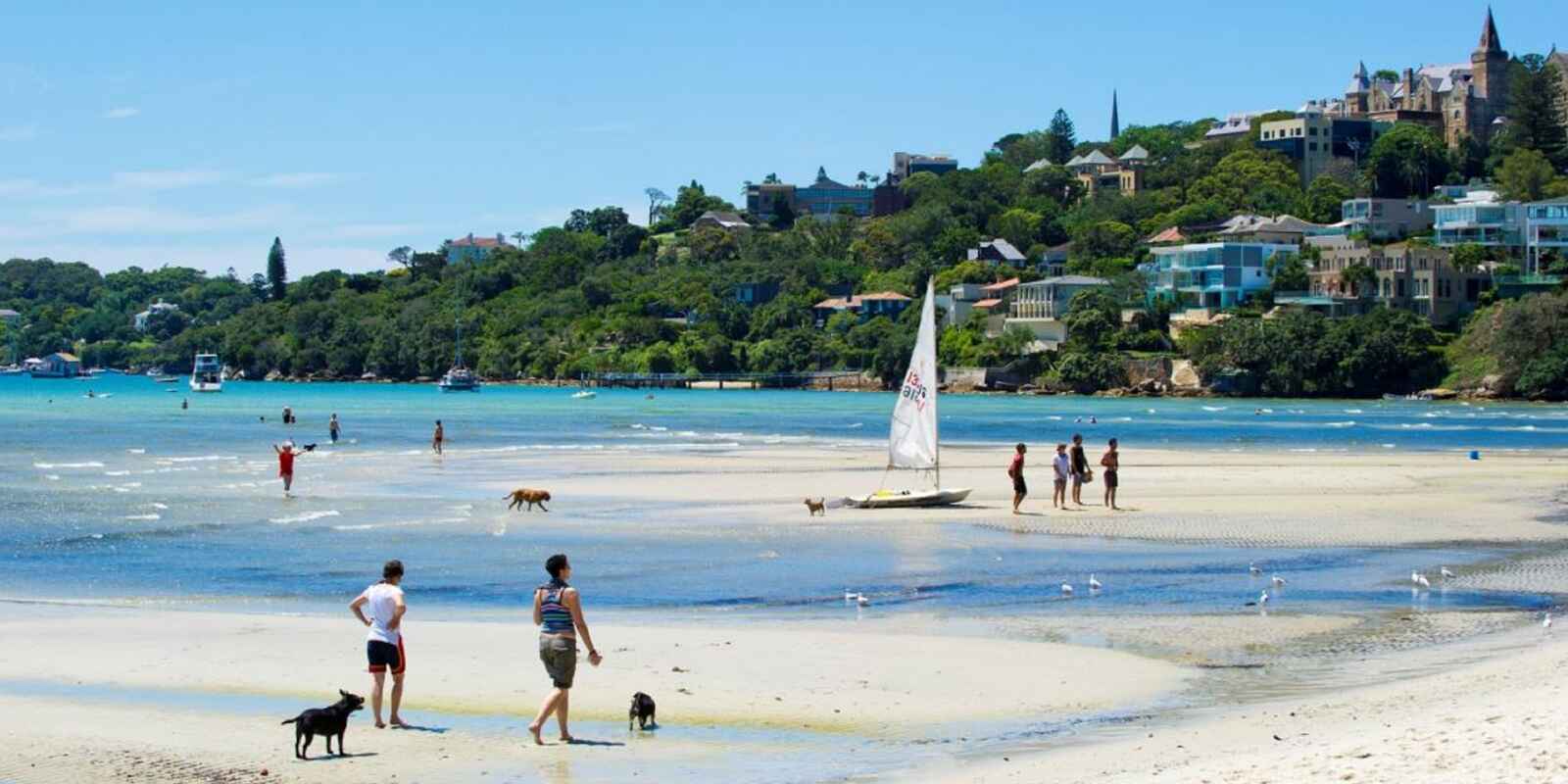 7 Dudley Road Rose Bay 7 Dudley Road Rose Bay