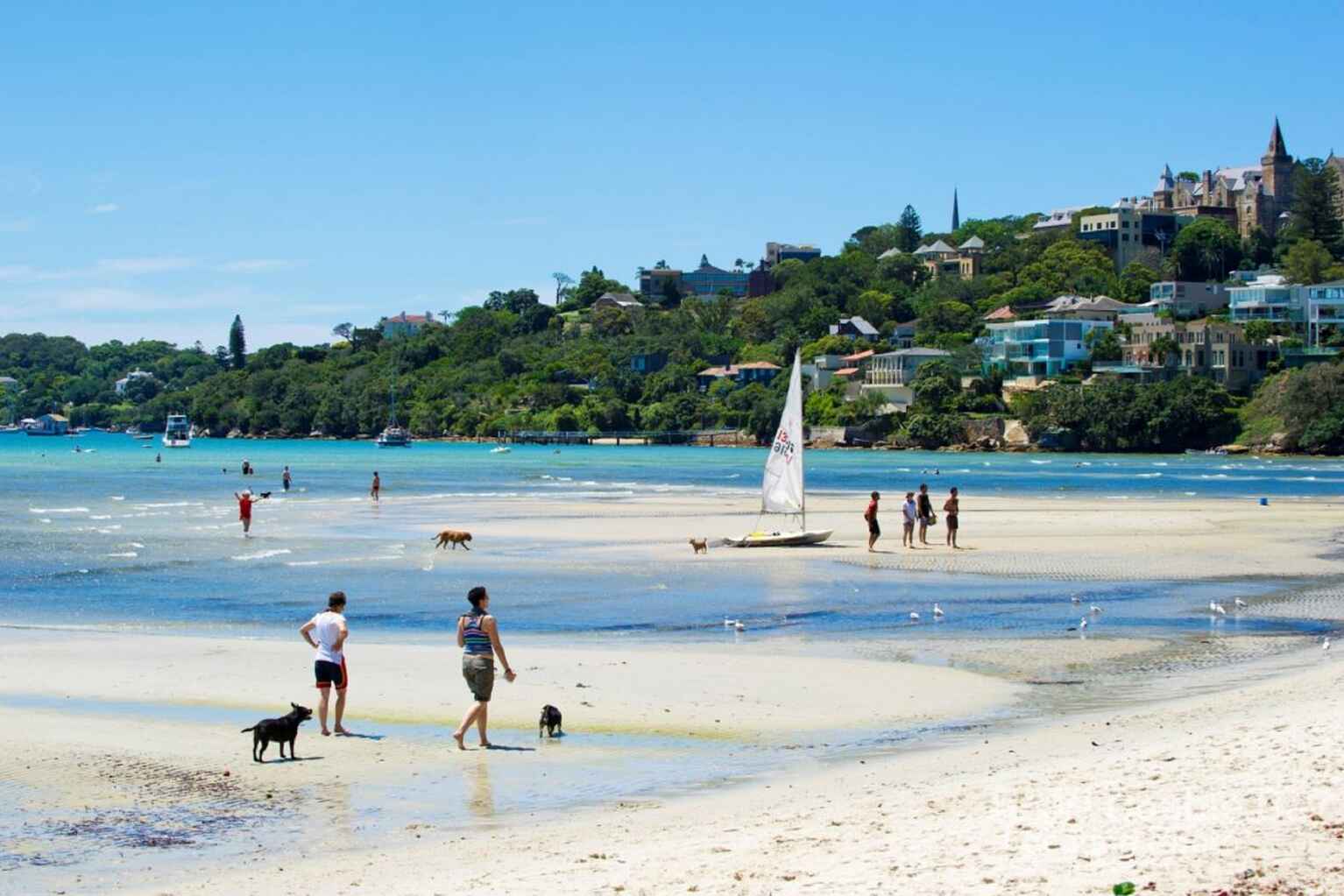 7 Dudley Road Rose Bay 7 Dudley Road Rose Bay