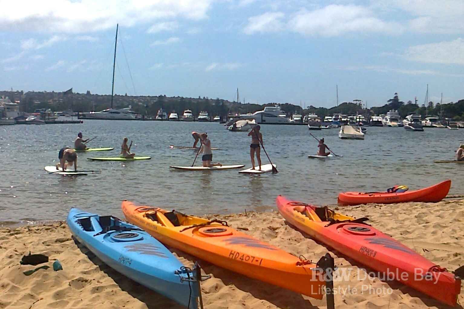 3/10 Longworth Avenue Point Piper